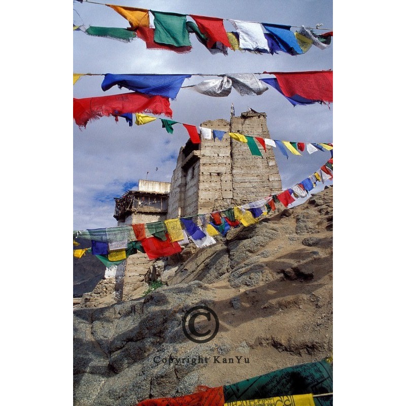 noveenkaars Tibetaanse vlaggen NOV00404