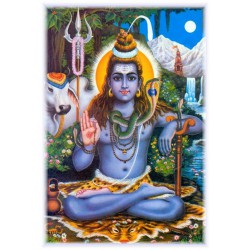 noveenkaars Shiva zittend NOV00417