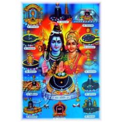 noveenkaars Shiva Parvati - 12 Lingams NOV00429