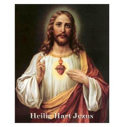 noveenkaars Jezus 